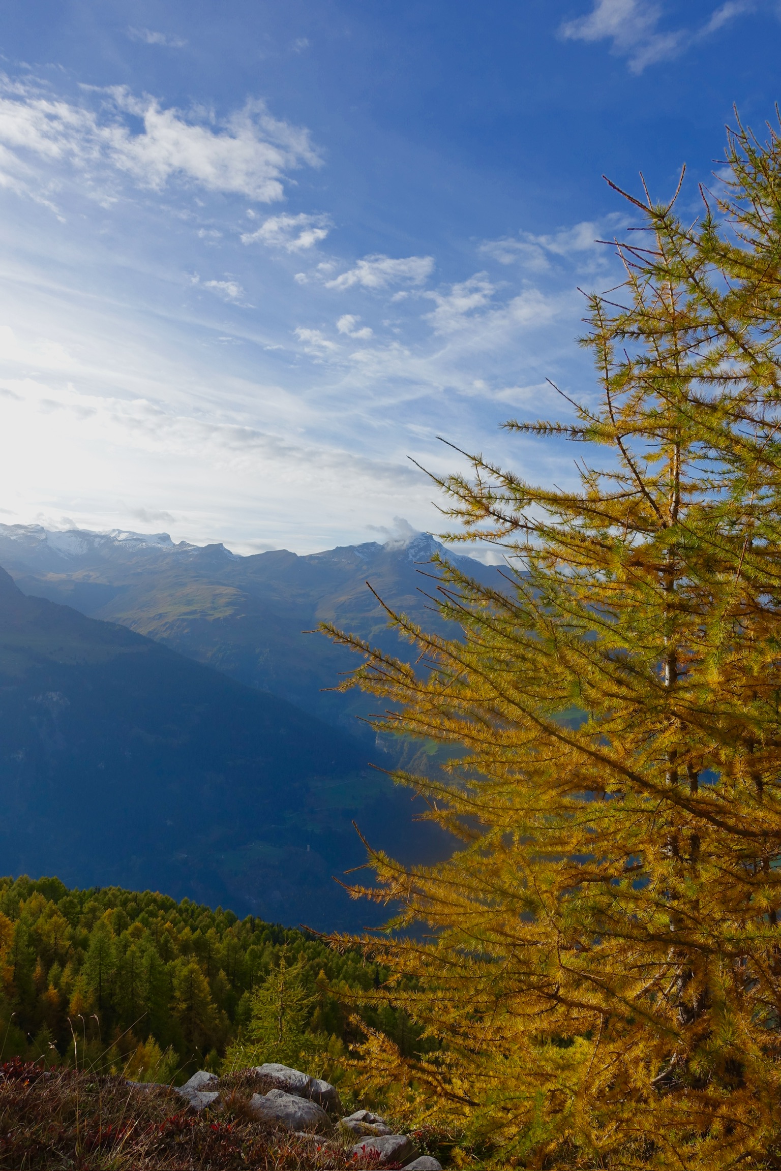 High Life Galeriefoto 2